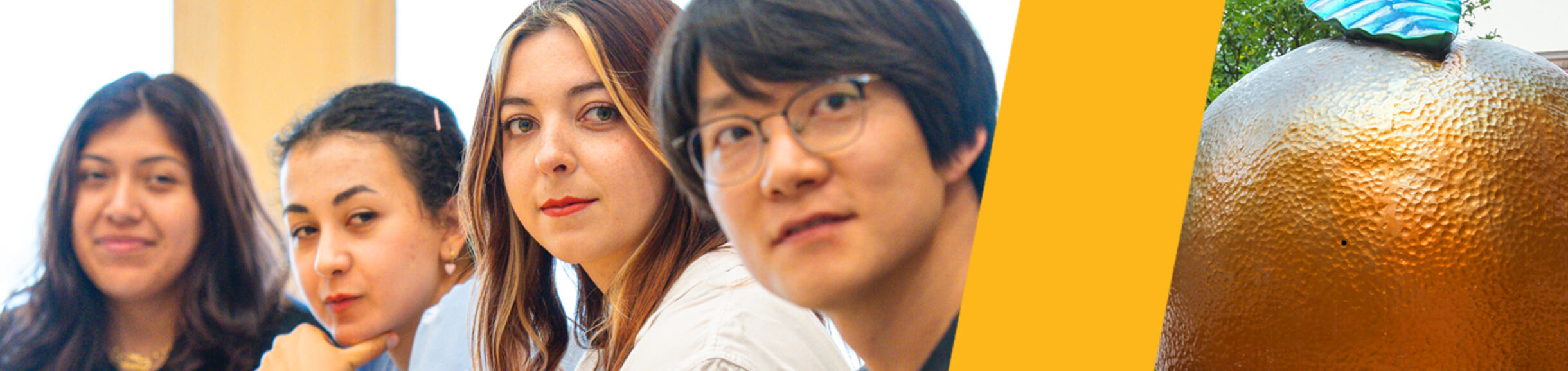 DEI: Specialized Subfield of Study Header Image