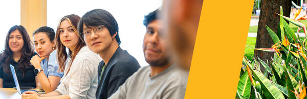 DEI: Professional Development Header Image